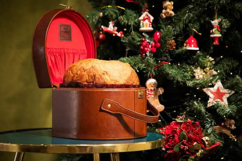 panettone in scatola di pelle e albero di natale