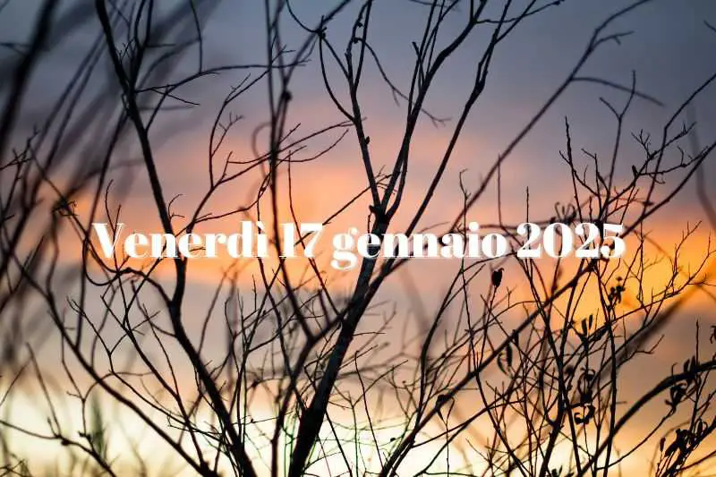 alba 17 gennaio 2025