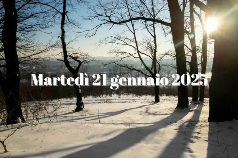 21 gennaio 2025