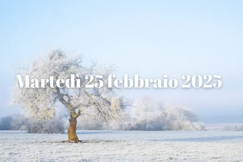 25 febbraio